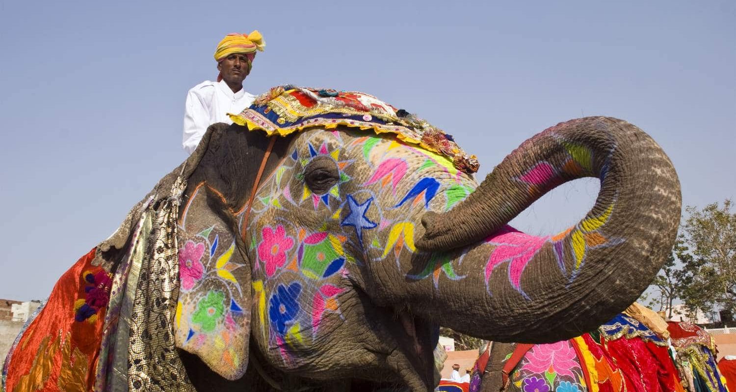Decorated-Elephant-Rajasthan